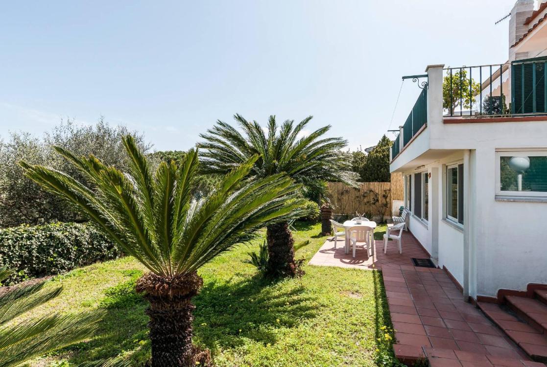 Macondo B&B San Felice Circeo Exteriör bild